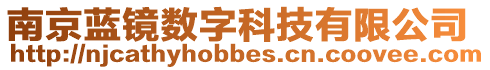 南京藍(lán)鏡數(shù)字科技有限公司