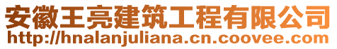 安徽王亮建筑工程有限公司