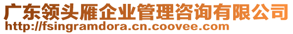 廣東領(lǐng)頭雁企業(yè)管理咨詢有限公司