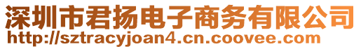 深圳市君揚電子商務(wù)有限公司