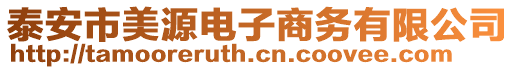 泰安市美源電子商務(wù)有限公司