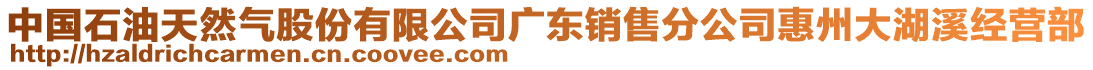 中國石油天然氣股份有限公司廣東銷售分公司惠州大湖溪經(jīng)營部