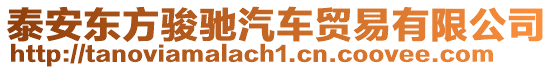 泰安東方駿馳汽車貿易有限公司