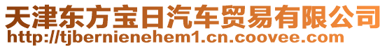 天津東方寶日汽車(chē)貿(mào)易有限公司