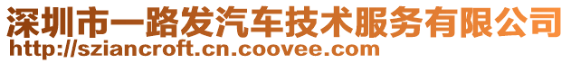 深圳市一路發汽車技術服務有限公司
