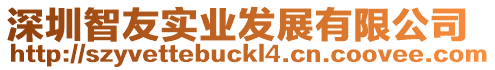 深圳智友實業發展有限公司