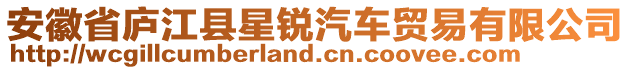 安徽省廬江縣星銳汽車貿(mào)易有限公司