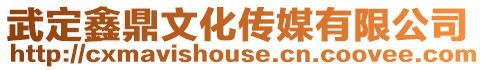 武定鑫鼎文化傳媒有限公司