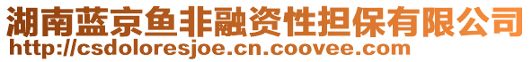 湖南藍(lán)京魚(yú)非融資性擔(dān)保有限公司