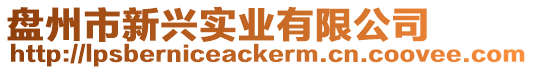 盤州市新興實業有限公司