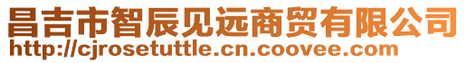 昌吉市智辰見(jiàn)遠(yuǎn)商貿(mào)有限公司