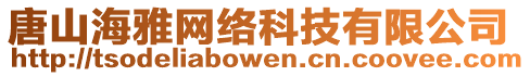 唐山海雅網絡科技有限公司