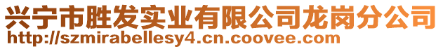 興寧市勝發(fā)實(shí)業(yè)有限公司龍崗分公司