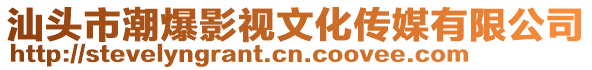 汕頭市潮爆影視文化傳媒有限公司