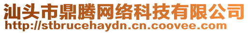 汕頭市鼎騰網絡科技有限公司