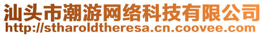 汕頭市潮游網(wǎng)絡(luò)科技有限公司