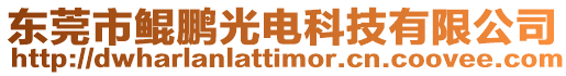 東莞市鯤鵬光電科技有限公司