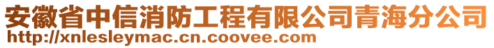 安徽省中信消防工程有限公司青海分公司