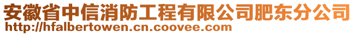安徽省中信消防工程有限公司肥東分公司