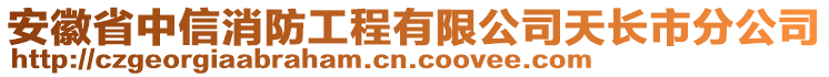 安徽省中信消防工程有限公司天長市分公司