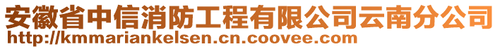 安徽省中信消防工程有限公司云南分公司