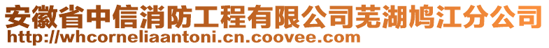 安徽省中信消防工程有限公司蕪湖鳩江分公司