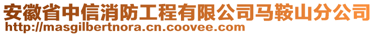 安徽省中信消防工程有限公司馬鞍山分公司