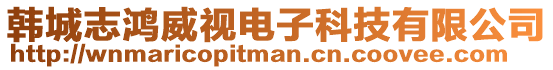 韓城志鴻威視電子科技有限公司