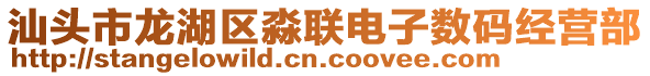 汕頭市龍湖區淼聯電子數碼經營部