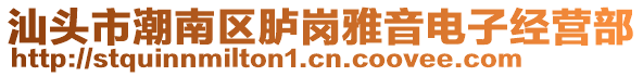 汕頭市潮南區(qū)臚崗雅音電子經(jīng)營部