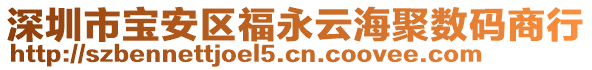 深圳市寶安區(qū)福永云海聚數(shù)碼商行