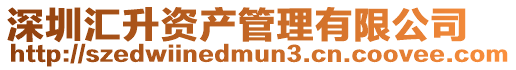 深圳匯升資產(chǎn)管理有限公司