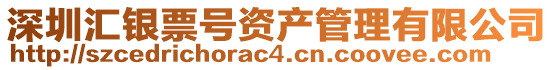 深圳匯銀票號(hào)資產(chǎn)管理有限公司