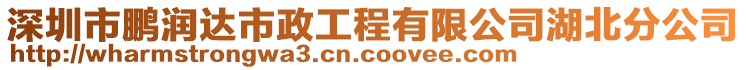 深圳市鵬潤(rùn)達(dá)市政工程有限公司湖北分公司