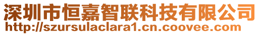 深圳市恒嘉智聯(lián)科技有限公司