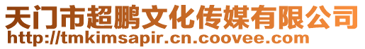 天門市超鵬文化傳媒有限公司