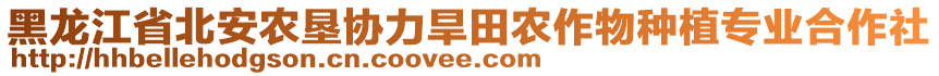 黑龍江省北安農(nóng)墾協(xié)力旱田農(nóng)作物種植專業(yè)合作社