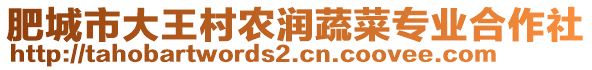 肥城市大王村農(nóng)潤蔬菜專業(yè)合作社