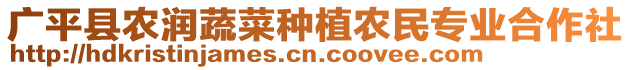 廣平縣農(nóng)潤蔬菜種植農(nóng)民專業(yè)合作社