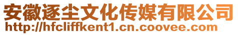 安徽逐塵文化傳媒有限公司