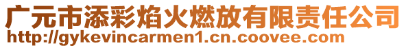 廣元市添彩焰火燃放有限責任公司