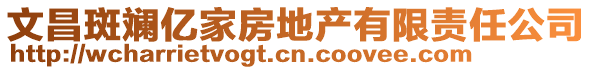文昌斑斕億家房地產(chǎn)有限責任公司