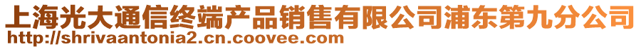 上海光大通信終端產品銷售有限公司浦東第九分公司