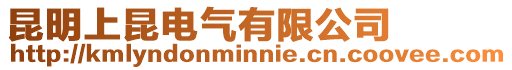 昆明上昆電氣有限公司