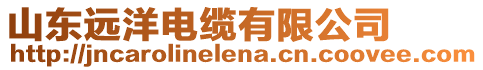 山東遠洋電纜有限公司