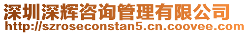 深圳深輝咨詢管理有限公司