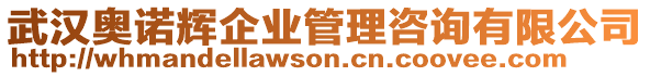 武漢奧諾輝企業管理咨詢有限公司