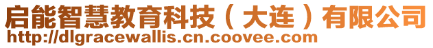 啟能智慧教育科技（大連）有限公司