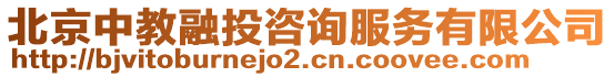 北京中教融投咨詢服務有限公司
