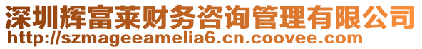 深圳輝富萊財務咨詢管理有限公司